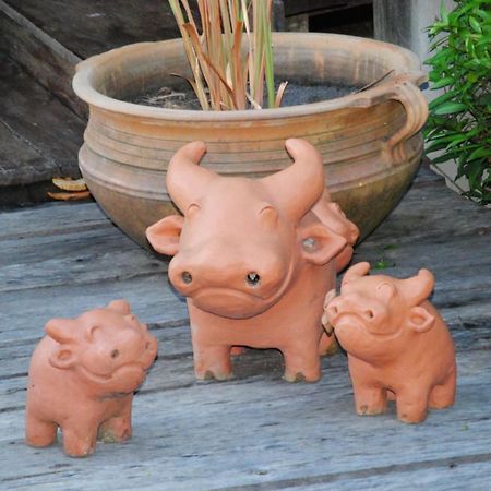 Baan Chai Thung Resort Doi Saket Ngoại thất bức ảnh