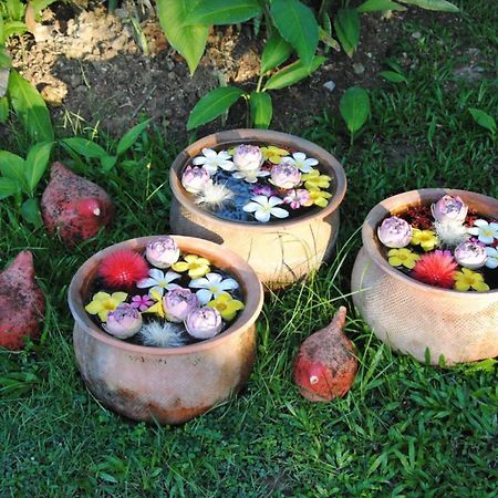 Baan Chai Thung Resort Doi Saket Ngoại thất bức ảnh