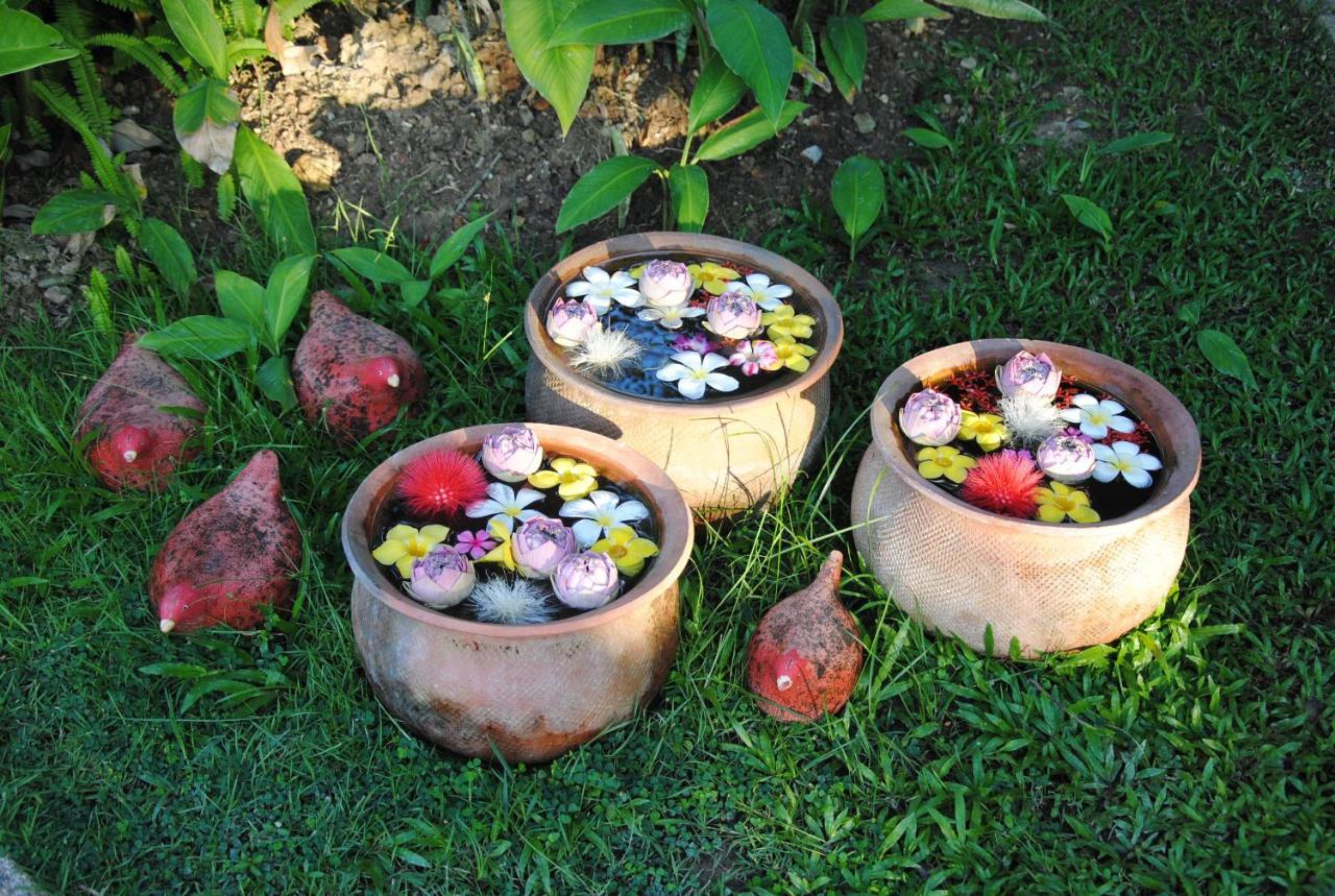 Baan Chai Thung Resort Doi Saket Ngoại thất bức ảnh